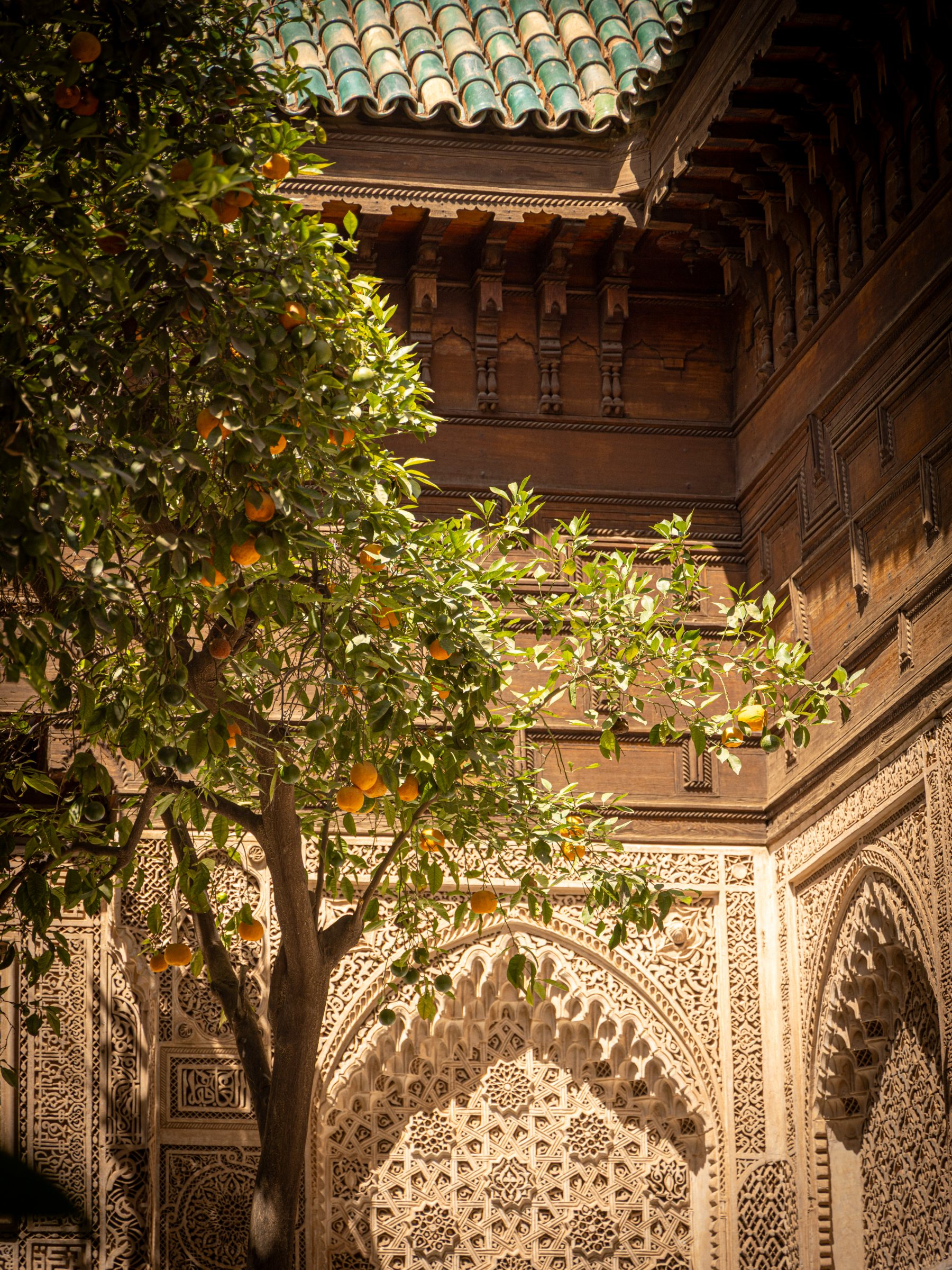 Orange tree courtyard